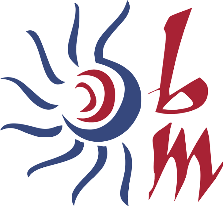IMG-LOGO
